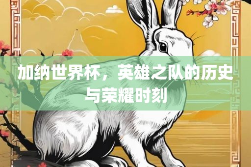 加纳世界杯，英雄之队的历史与荣耀时刻