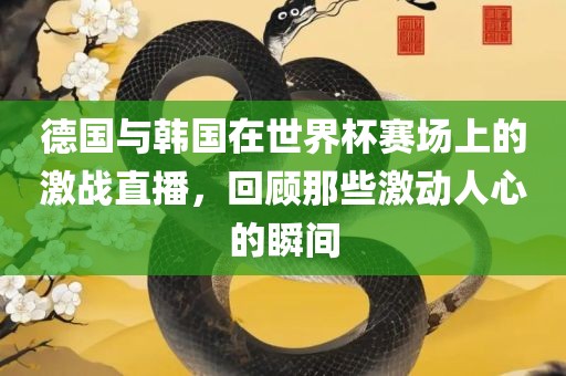 德国与韩国在世界杯赛场上的激战直播，回顾那些激动人心的瞬间