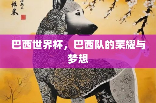 巴西世界杯，巴西队的荣耀与梦想