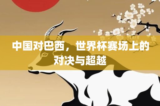中国对巴西，世界杯赛场上的对决与超越眉山市正发家政服务有限公司