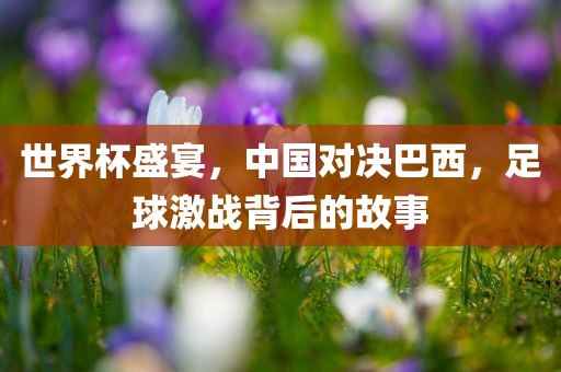 世界杯盛宴，中国对决巴西，足球激战背后的故事