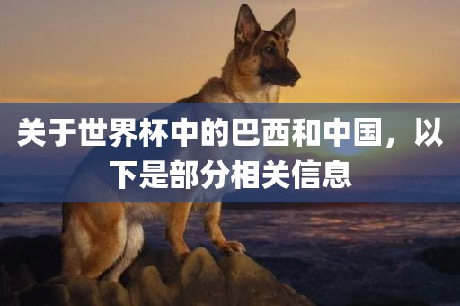 关于世界杯中的巴西和中国，以下是部分相关信息