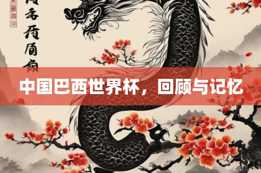 中国巴西世界杯，回顾与记忆