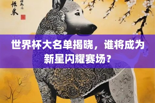 世界杯大名单揭晓，谁将成为新星闪耀赛场？