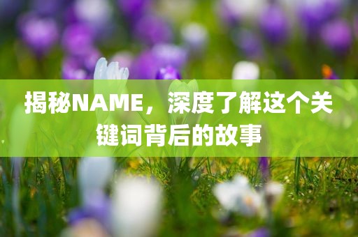 揭秘NAME，深度了解这个关键词背后的故事