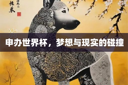 申办世界杯，梦想与现实的碰撞