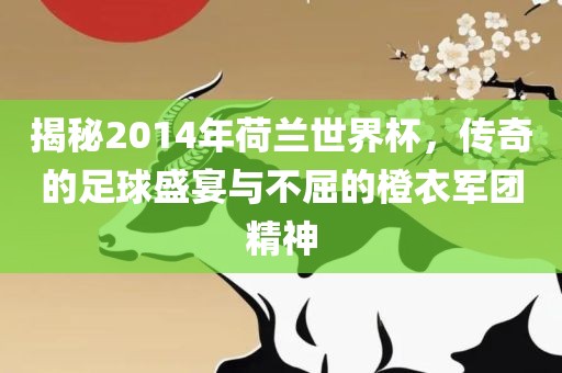揭秘2014年荷兰世界杯，传奇的足球盛宴与不屈的橙衣军团精神