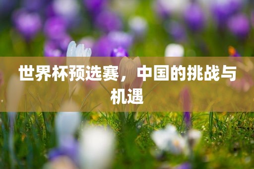 世界杯预选赛，中国的挑战与机遇