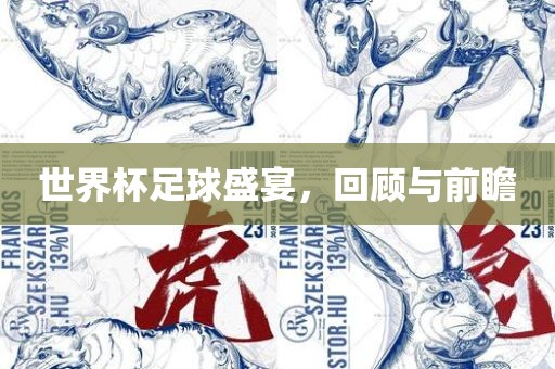 世界杯足球盛宴，回顾与前瞻