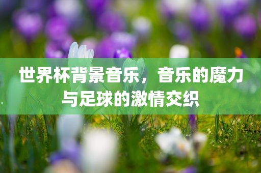 世界杯背景音乐，音乐的魔力与足球的激情交织