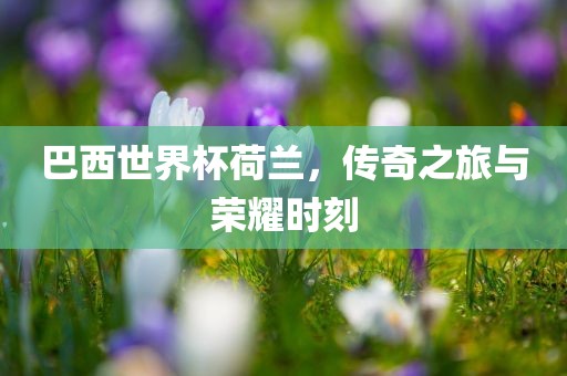 巴西世界杯荷兰，传奇之旅与荣耀时刻