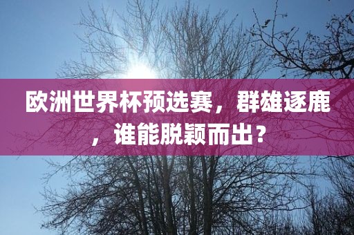 欧洲世界杯预选赛，群雄逐鹿，谁能脱颖而出？