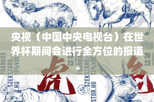 央视（中国中央电视台）在世界杯期间会进行全方位的报道。