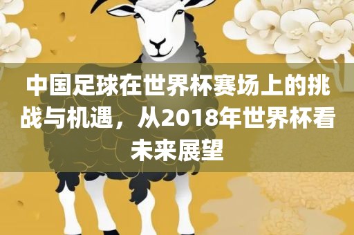 中国足球在世界杯赛场上的挑战与机遇，从2018年世界杯看未来展望