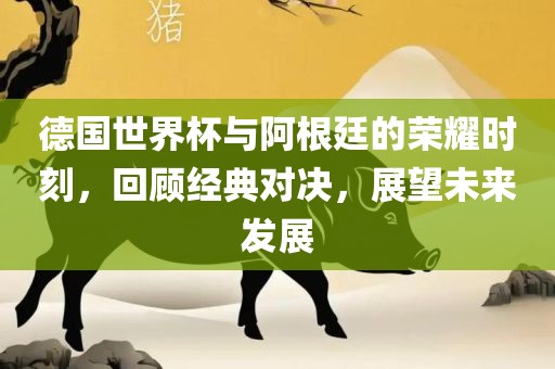 德国世界杯与阿根廷的荣耀时刻，回顾经典对决，展望未来发展