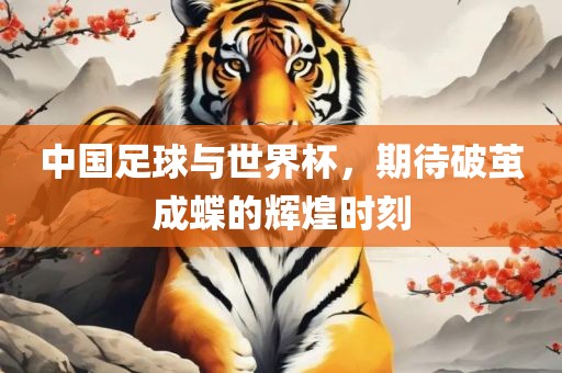 中国足球与世界杯，期待破茧成蝶的辉煌时刻