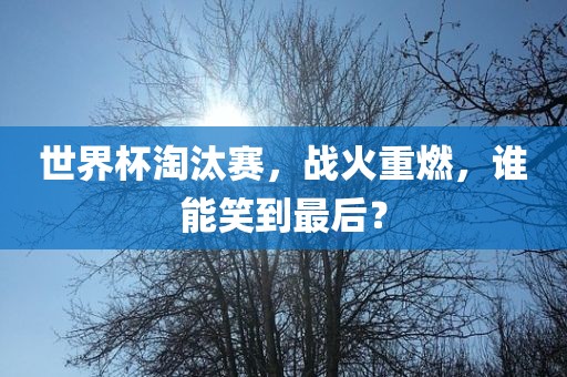 世界杯淘汰赛，战火重燃，谁能笑到最后？