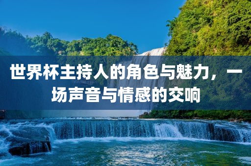 世界杯主持人的角色与魅力，一场声音与情感的交响