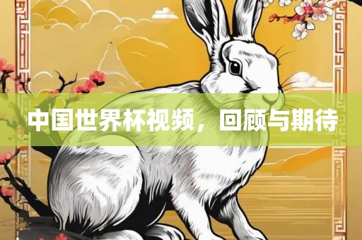 中国世界杯视频，回顾与期待