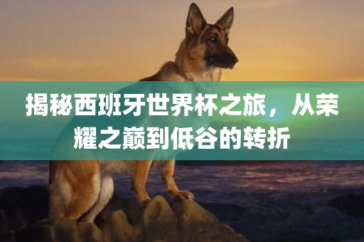 揭秘西班牙世界杯之旅，从荣耀之巅到低谷的转折