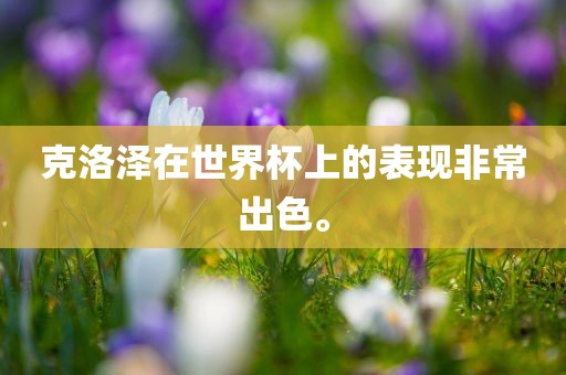 克洛泽在世界杯上的表现非常出色。
