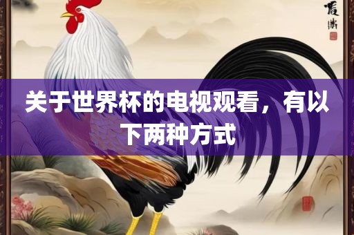 关于世界杯的电视观看，有以下两种方式