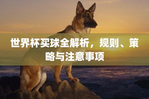 世界杯买球全解析，规则、策略与注意事项