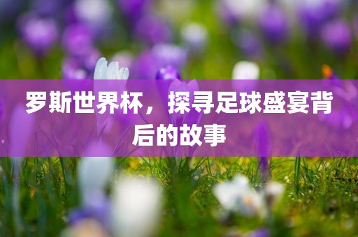 罗斯世界杯，探寻足球盛宴背后的故事