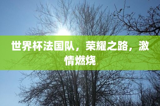 世界杯法国队，荣耀之路，激情燃烧