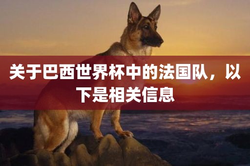 关于巴西世界杯中的法国队，以下是相关信息
