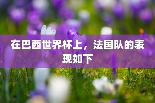 在巴西世界杯上，法国队的表现如下