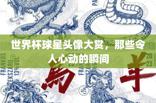 世界杯球星头像大赏，那些令人心动的瞬间