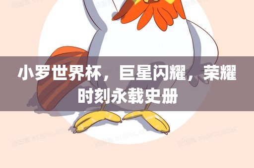 小罗世界杯，巨星闪耀，荣耀时刻永载史册