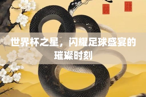 世界杯之星，闪耀足球盛宴的璀璨时刻