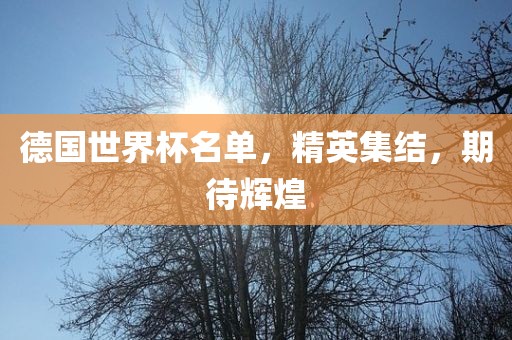 德国世界杯名单，精英集结，期待辉煌
