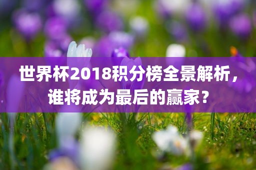 世界杯2018积分榜全景解析，谁将成为最后的赢家？