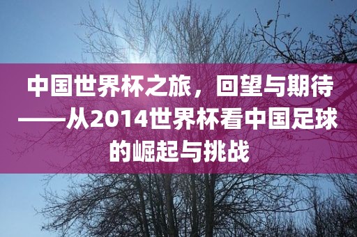 中国世界杯之旅，回望与期待——从2014世界杯看中国足球的崛起与挑战