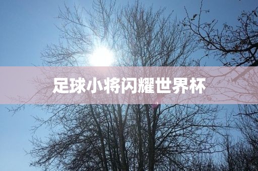 足球小将闪耀世界杯