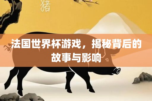 法国世界杯游戏，揭秘背后的故事与影响