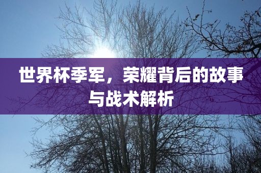 世界杯季军，荣耀背后的故事与战术解析
