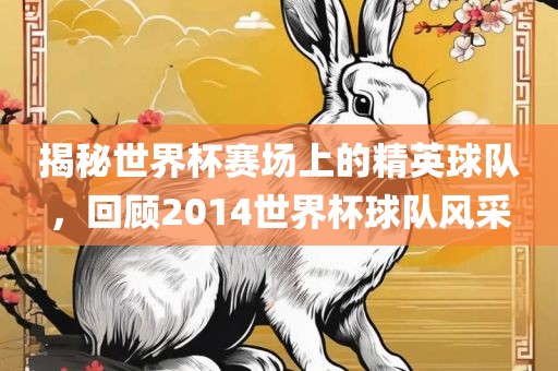 揭秘世界杯赛场上的精英球队，回顾2014世界杯球队风采