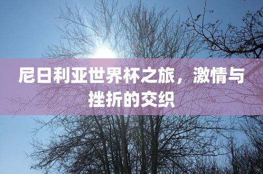 尼日利亚世界杯之旅，激情与挫折的交织