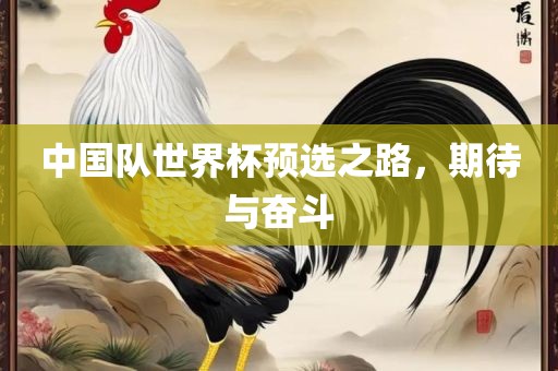 中国队世界杯预选之路，期待与奋斗
