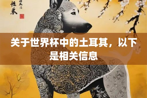 关于世界杯中的土耳其，以下是相关信息