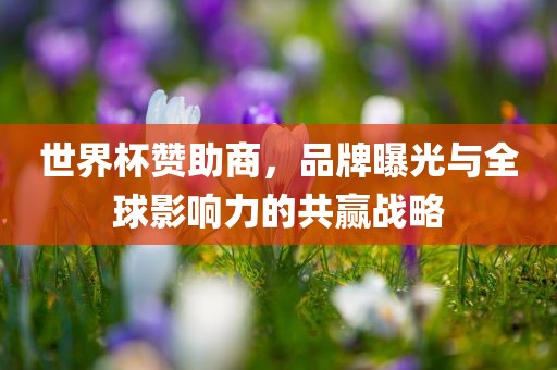 世界杯赞助商，品牌曝光与全球影响力的共赢战略
