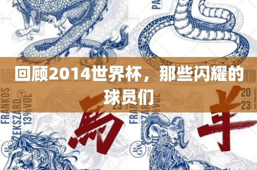 回顾2014世界杯，那些闪耀的球员们