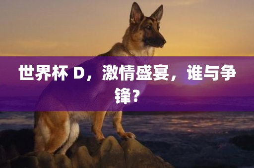 世界杯 D，激情盛宴，谁与争锋？