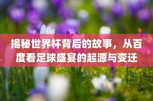 揭秘世界杯背后的故事，从百度看足球盛宴的起源与变迁