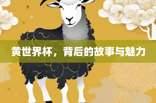 黄世界杯，背后的故事与魅力