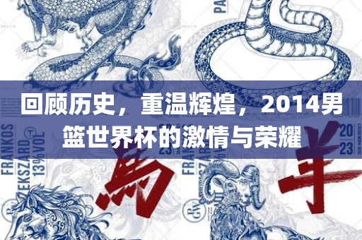 回顾历史，重温辉煌，2014男篮世界杯的激情与荣耀